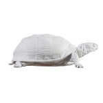 Turtle Box, weiß