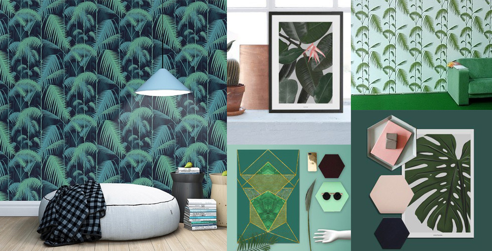 Poster von vontrueba mit Botanik und Blättern, Tapeten in Grün mit Botanik, Palmen, Dunschel und Exotik Muster, online bestellen